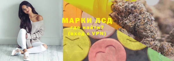 шишки Баксан
