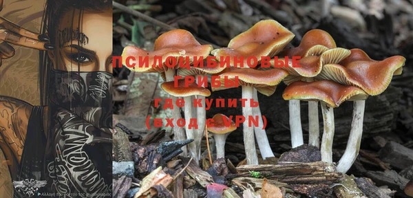 шишки Баксан