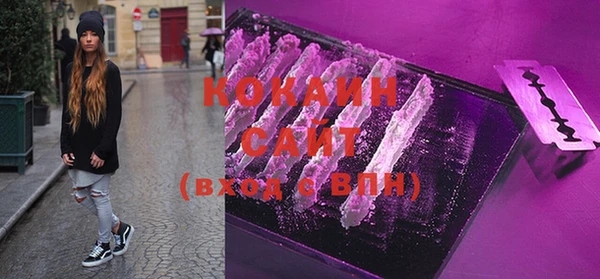 шишки Баксан