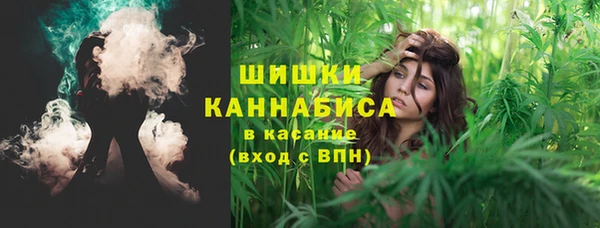 шишки Баксан