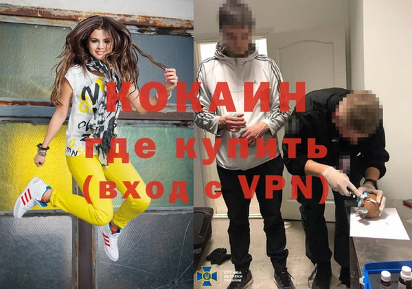 шишки Баксан