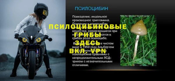 шишки Баксан