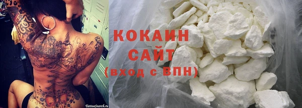шишки Баксан