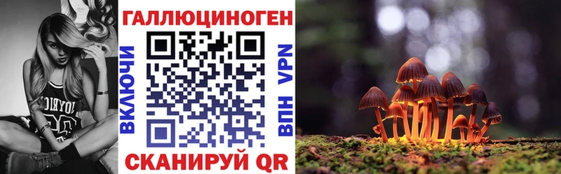 Купить где  Волосово  Галлюциногенные грибы Cubensis 